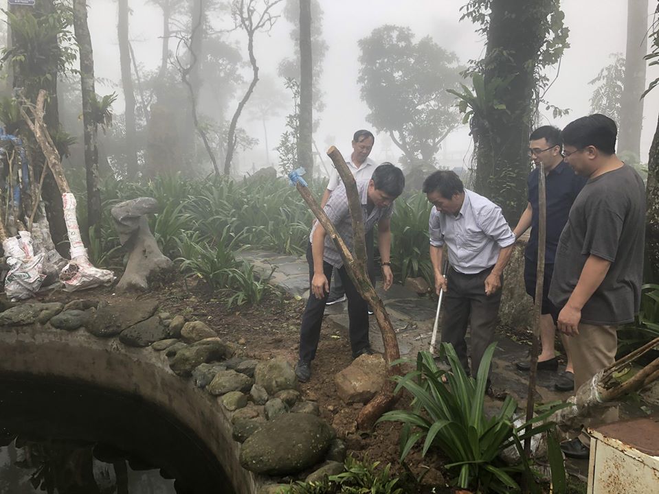 Trường Đại học Quốc tế Bắc Hà tổ chức dâng hương và trồng cây trên Đền thờ Bác Hồ - Ba Vì