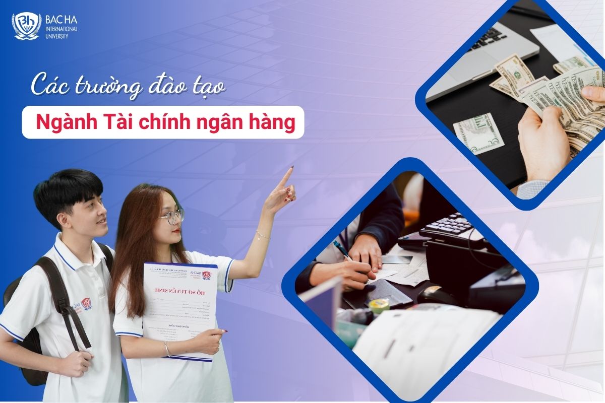 Các trường đào tạo ngành Tài chính ngân hàng năm 2024