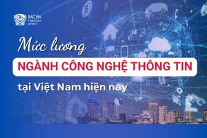 Mức lương ngành Công nghệ thông tin tại Việt Nam năm 2024: Chi tiết theo từng vị trí