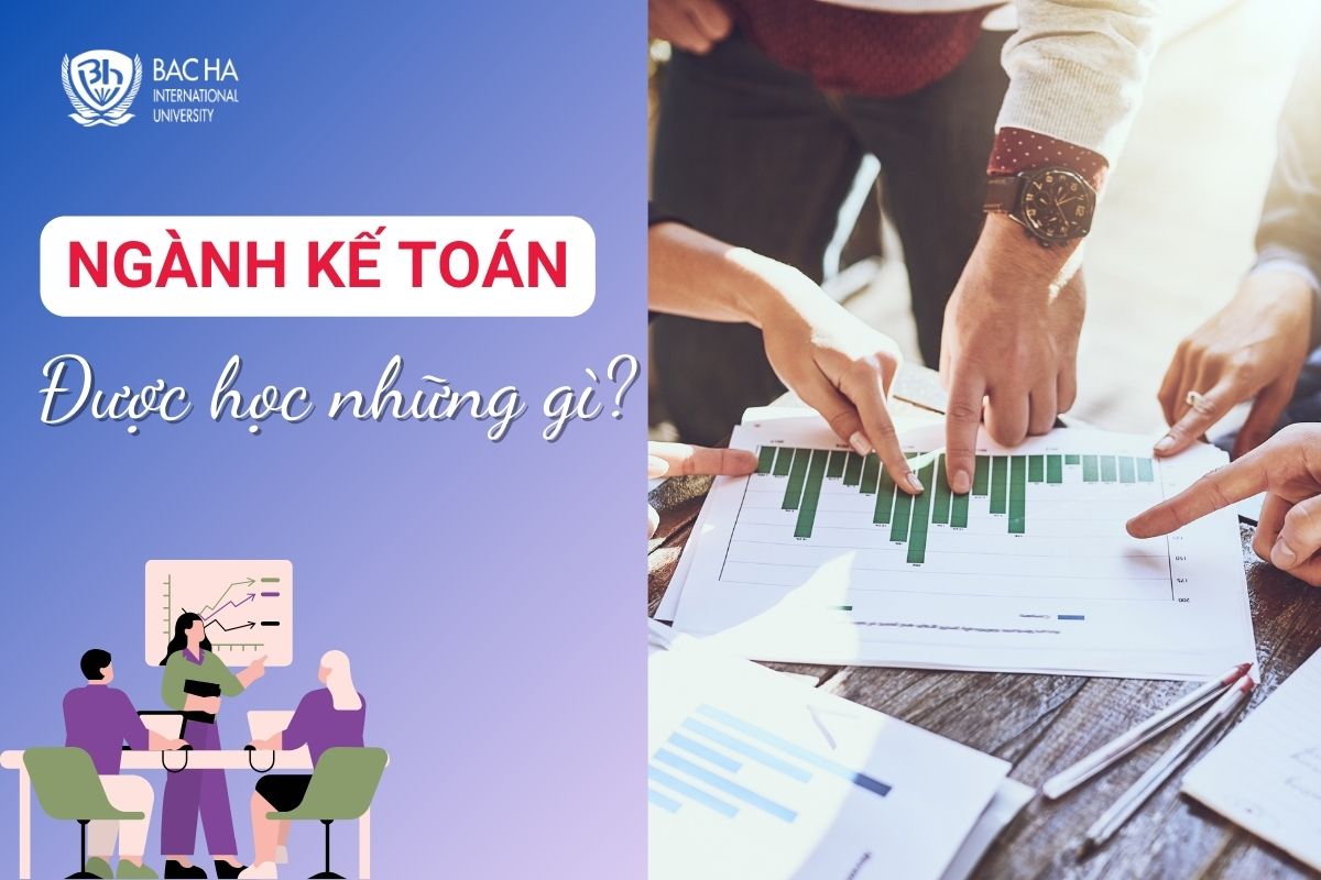 Ngành Kế toán học những môn gì? Chương trình đào tạo chi tiết