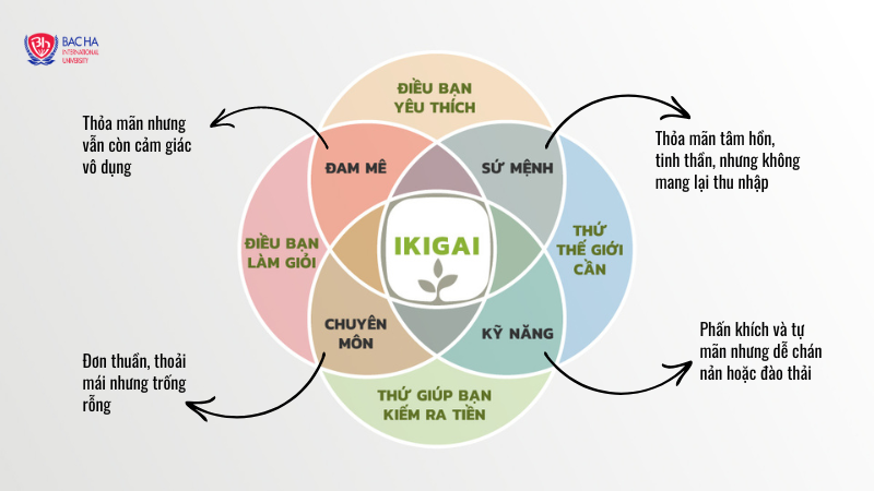 Cách áp dụng Ikigai trong định hướng nghề nghiệp