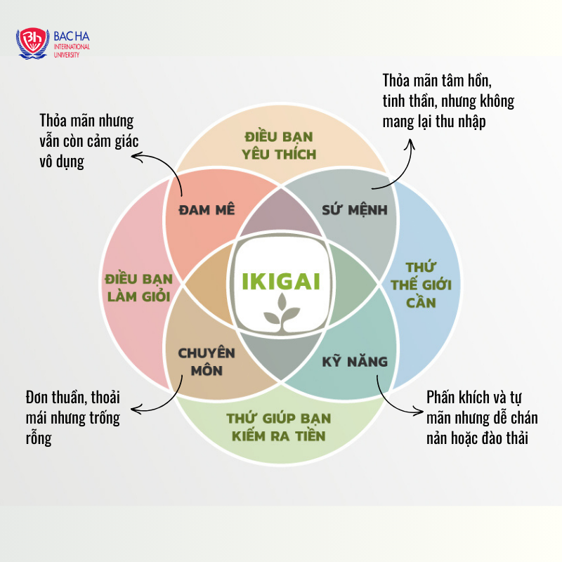 Định hướng nghề nghiệp dễ dàng hơn bằng phương pháp Ikigai