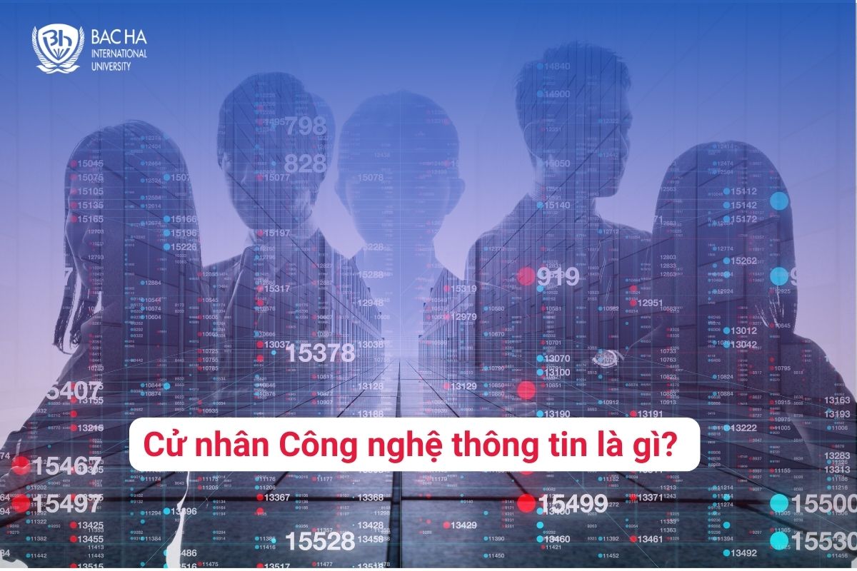 Cử nhân Công nghệ thông tin là gì 