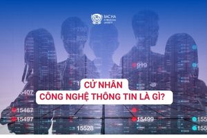 Cử nhân Công nghệ thông tin là gì