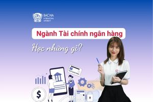 Ngành Tài chính ngân hàng học những gì? Có khó không? Khám phá chương trình học ngành TCNH